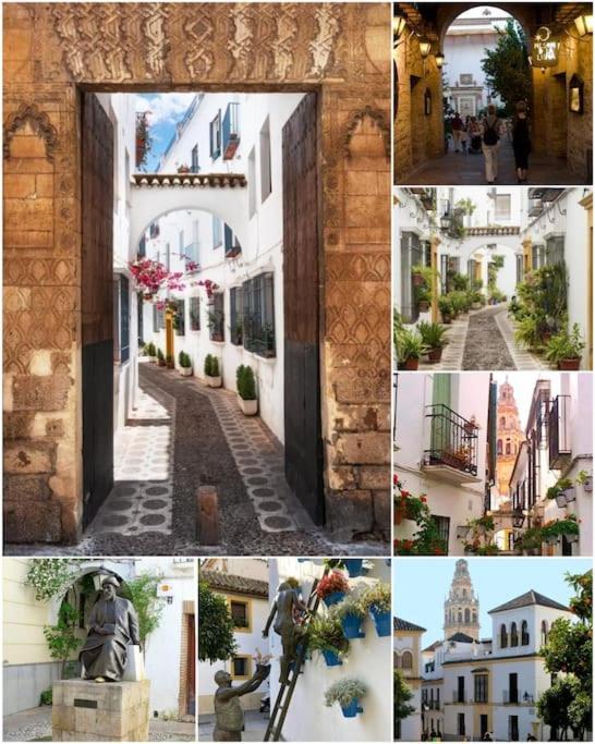 Apartamento Centrico En El Casco Historico De コルドバ エクステリア 写真