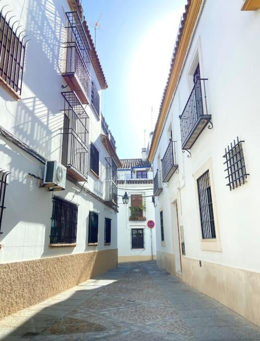 Apartamento Centrico En El Casco Historico De コルドバ エクステリア 写真