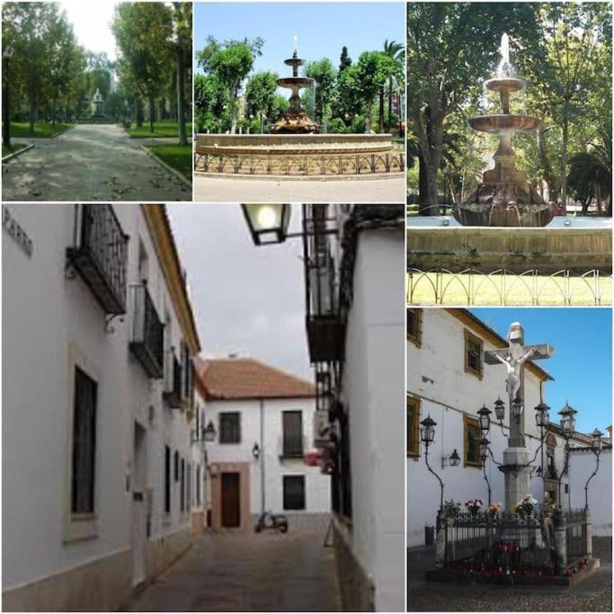Apartamento Centrico En El Casco Historico De コルドバ エクステリア 写真