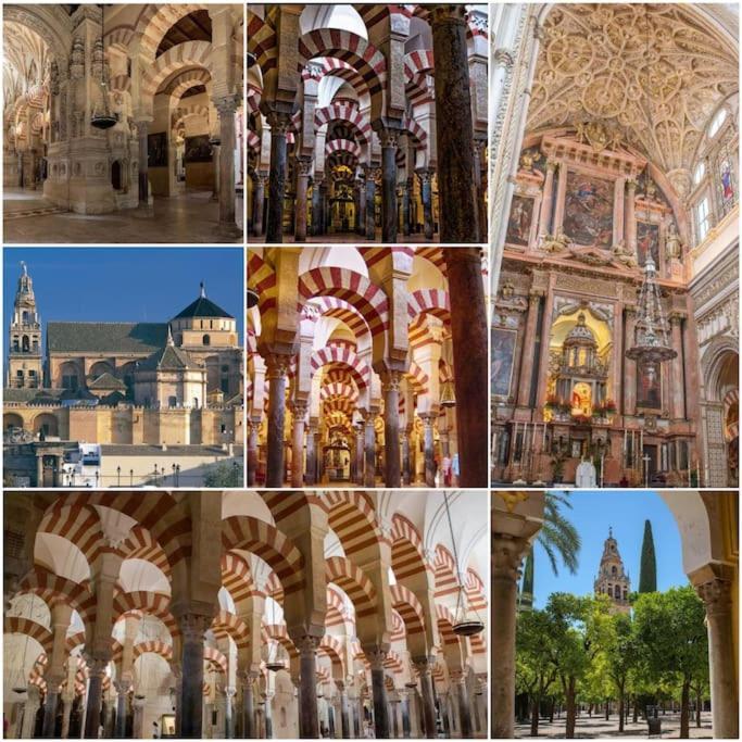 Apartamento Centrico En El Casco Historico De コルドバ エクステリア 写真